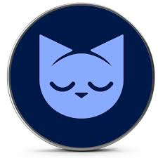 Restly - IT Solutions & Technology WordPress Theme